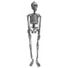 I LOVE FANCY DRESS Silver Hanging Skeleton - Full Body Halloween Decoration - 60 Cm 24 Inch - Creepy - Halloween Props - Pack Of 1