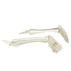 I LOVE FANCY DRESS 5-piece Skeleton Prop - Skull + Two Skeleton Arms + Two Skeleton Legs Halloween Party Decoration Set - Pack Of 1 -I Love Fancy Dress Ltd Shop 31qWN53HUL