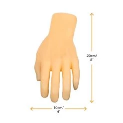 I LOVE FANCY DRESS Halloween Hand Prop - Pack Of 1 - Realistic Plastic Hand Prop With 2 Sticky Pads - Gothic Family Halloween Trick Or Treat Party Decoration -I Love Fancy Dress Ltd Shop 31rMvzj0eSL