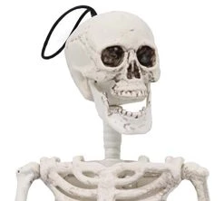 I LOVE FANCY DRESS Hanging Posable Skeleton Halloween Decorations For Parties - 60 Cm/2 Foot Tall Halloween Party Prop - Scary Skull Indoor And Outdoor Decorations -I Love Fancy Dress Ltd Shop 414GEwVY1L