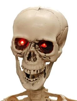 ILOVEFANCYDRESS HUGE 5FT LIFE-SIZED POSABLE SKELETON WITH GLOWING RED EYES HALLOWEEN PROP / DECORATION. LIFESIZE HUMAN SKELETON PROP WITH GLOWING RED EYES. PERFECT DECORATION FOR HALLOWEEN EVENTS -I Love Fancy Dress Ltd Shop 41C75o1hrUL