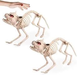 I LOVE FANCY DRESS LTD Animatronic Cat Skeleton Halloween Decoration - Red Light Up Eyes & Sound Effects - Cats Wailing And Thunder Sounds - Halloween Props - Pack Of 6 -I Love Fancy Dress Ltd Shop 41CrPilgmmL. AC