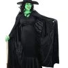Ladies Wicked Witch Halloween Costume - Black Dress + Hooded Velour Cape + Witch's Hat + Green Facepaint - Fancy Dress Party Book Movie Themed