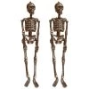 I LOVE FANCY DRESS Hanging Skeleton - Full Body Halloween Decoration - 60 Cm 24 Inch - Creepy - Halloween Props - Pack Of 2