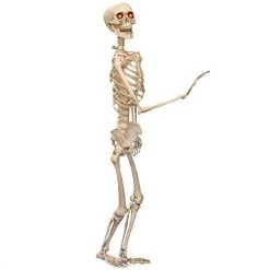 ILOVEFANCYDRESS HUGE 5FT LIFE-SIZED POSABLE SKELETON WITH GLOWING RED EYES HALLOWEEN PROP / DECORATION. LIFESIZE HUMAN SKELETON PROP WITH GLOWING RED EYES. PERFECT DECORATION FOR HALLOWEEN EVENTS -I Love Fancy Dress Ltd Shop 41NsDddTAXL