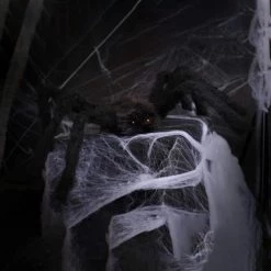 I LOVE FANCY DRESS Fake Spider Prop Halloween Decoration Large 60cm 24” - Pack Of 1 - Giant Black Spider - Pose-able Legs - Spooky Arachnid Halloween Props - Pack Of 6 -I Love Fancy Dress Ltd Shop 41fRqudyiSL