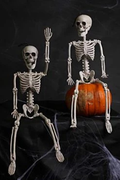 I LOVE FANCY DRESS Hanging Posable Skeleton Halloween Decorations For Parties - 60 Cm/2 Foot Tall Halloween Party Prop - Scary Skull Indoor And Outdoor Decorations -I Love Fancy Dress Ltd Shop 41nM3it 9SL