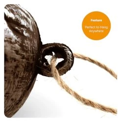 I LOVE FANCY DRESS Hanging Skeleton - Full Body Halloween Decoration - 60 Cm 24 Inch - Creepy - Halloween Props - Pack Of 2 12 I LOVE FANCY DRESS Hanging Skeleton - Full Body Halloween Decoration - 60 Cm 24 Inch - Creepy - Halloween Props - Pack Of 2 -I Love Fancy Dress Ltd Shop 41ui7qqddL