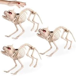 I LOVE FANCY DRESS LTD Animatronic Cat Skeleton Halloween Decoration - Red Light Up Eyes & Sound Effects - Cats Wailing And Thunder Sounds - Halloween Props - Pack Of 6 -I Love Fancy Dress Ltd Shop 41uxF7QpL5L. AC