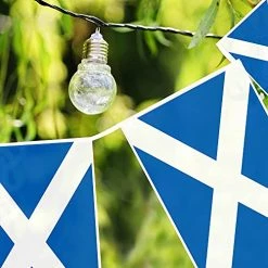 Scotland Flag Bunting - 10m 33ft - 24 Flag - Plastic All Weather Scottish Bunting Decoration For Indoor Outdoor Sporting Events, Street Parties, Festivals And Celebrations 11 Scotland Flag Bunting - 10m 33ft - 24 Flag - Plastic All Weather Scottish Bunting Decoration For Indoor Outdoor Sporting Events, Street Parties, Festivals And Celebrations -I Love Fancy Dress Ltd Shop 51A9YF37j4S