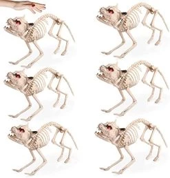 I LOVE FANCY DRESS LTD Animatronic Cat Skeleton Halloween Decoration - Red Light Up Eyes & Sound Effects - Cats Wailing And Thunder Sounds - Halloween Props - Pack Of 6 -I Love Fancy Dress Ltd Shop 51DwqOuJNBL. AC