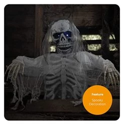 Scary Groundbreaking Skeleton Bride Halloween Prop With Flashing Colour-Changing Eyes - Perfect Decoration & Fancy Dress Party Prop Graveyard Tombstone - Pack Of 1 -I Love Fancy Dress Ltd Shop 51Gotc3TZpL