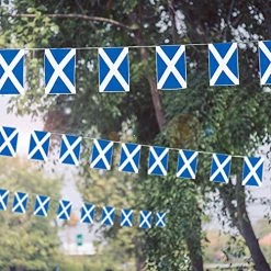 Scotland Flag Bunting - 10m 33ft - 24 Flag - Plastic All Weather Scottish Bunting Decoration For Indoor Outdoor Sporting Events, Street Parties, Festivals And Celebrations 10 Scotland Flag Bunting - 10m 33ft - 24 Flag - Plastic All Weather Scottish Bunting Decoration For Indoor Outdoor Sporting Events, Street Parties, Festivals And Celebrations -I Love Fancy Dress Ltd Shop 51J1JG3AqwS