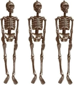 I LOVE FANCY DRESS Hanging Skeleton - Full Body Halloween Decoration - 60 Cm 24 Inch - Creepy - Halloween Props - Pack Of 2 19 I LOVE FANCY DRESS Hanging Skeleton - Full Body Halloween Decoration - 60 Cm 24 Inch - Creepy - Halloween Props - Pack Of 2 -I Love Fancy Dress Ltd Shop 51MSccvhAlL. AC
