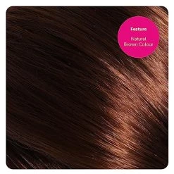 Brown Plait Wig - Adults One Size Fits Most - Ladies Brown Plait Wig - Perfect For Game/movie Character Dress Up Or Other Fancy Dress Events -I Love Fancy Dress Ltd Shop 51R6ZY9JB7L