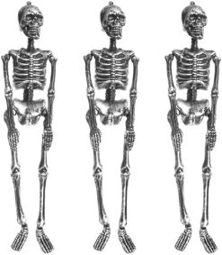 I LOVE FANCY DRESS Silver Hanging Skeleton - Full Body Halloween Decoration - 60 Cm 24 Inch - Creepy - Halloween Props - Pack Of 1 -I Love Fancy Dress Ltd Shop 51lych6u7nL. AC