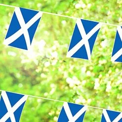 Scotland Flag Bunting - 10m 33ft - 24 Flag - Plastic All Weather Scottish Bunting Decoration For Indoor Outdoor Sporting Events, Street Parties, Festivals And Celebrations 9 Scotland Flag Bunting - 10m 33ft - 24 Flag - Plastic All Weather Scottish Bunting Decoration For Indoor Outdoor Sporting Events, Street Parties, Festivals And Celebrations -I Love Fancy Dress Ltd Shop 51ntriFoeLS
