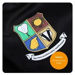 Adults Wizard Costume - XX-Large - Black Robe With Wizard School Crest, Round Glasses And Branch Wand - Adults TV Film Book Week Halloween Fancy Dress Costume -I Love Fancy Dress Ltd Shop 51qI7AxbddL