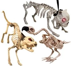 I LOVE FANCY DRESS LTD Animatronic Cat Skeleton Halloween Decoration - Red Light Up Eyes & Sound Effects - Cats Wailing And Thunder Sounds - Halloween Props - Pack Of 6