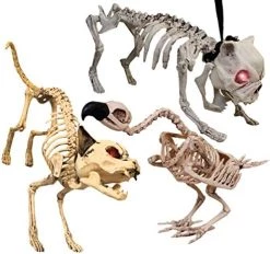 ILOVEFANCYDRESS CAT SKELETON PROP WITH GLOWING EYES AND ADJUSTABLE LIMBS - MAKES TERRIFYING CAT SOUND - BATTERIES INCLUDED - PERFECT HALLOWEEN DECORATION FOR PARTIES OR ACCESSORY FOR COSTUMES -I Love Fancy Dress Ltd Shop 51ynKBtmYWL. AC 1