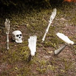 I LOVE FANCY DRESS 5-piece Skeleton Prop - Skull + Two Skeleton Arms + Two Skeleton Legs Halloween Party Decoration Set - Pack Of 1 -I Love Fancy Dress Ltd Shop 61gGilx1EL. AC 3